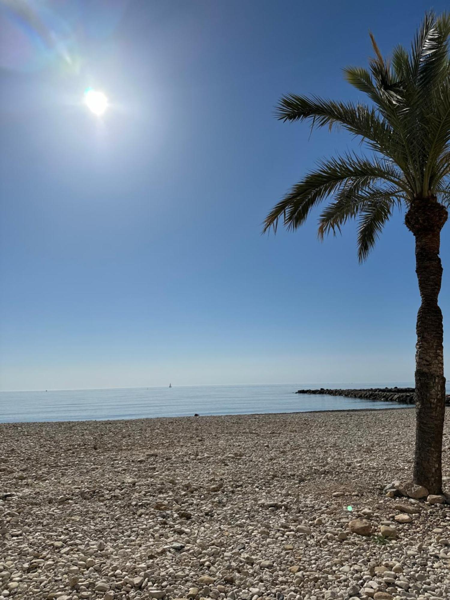 Precioso Apartamento De 3 Dormitorios Con Acceso Directo A La Playa アルテア エクステリア 写真